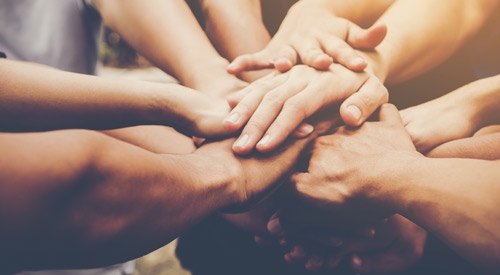 Modison Strongly Believes In Social Responsibility